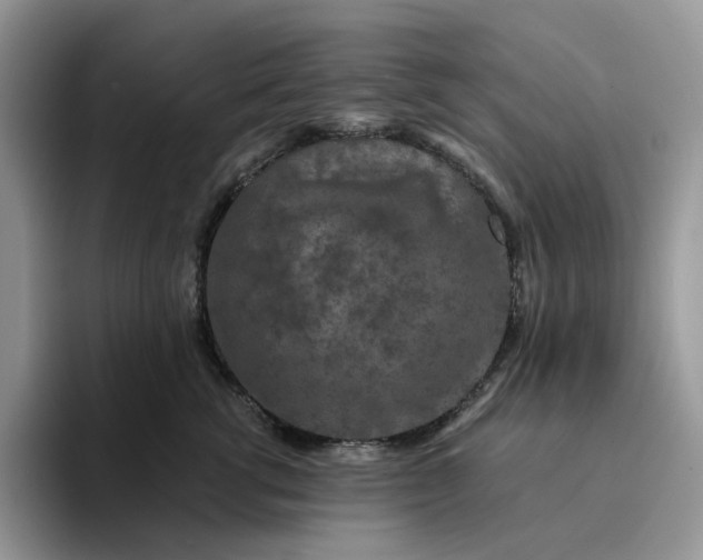 X0000094190762200711091201