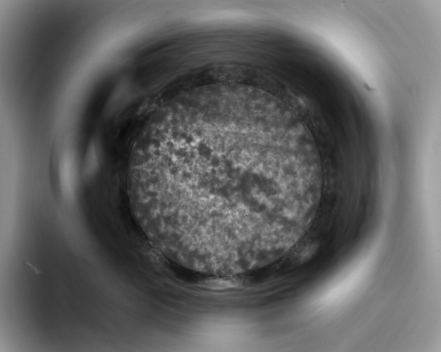 X0000094190765200711091201