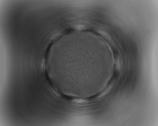 X0000094190766200711091201