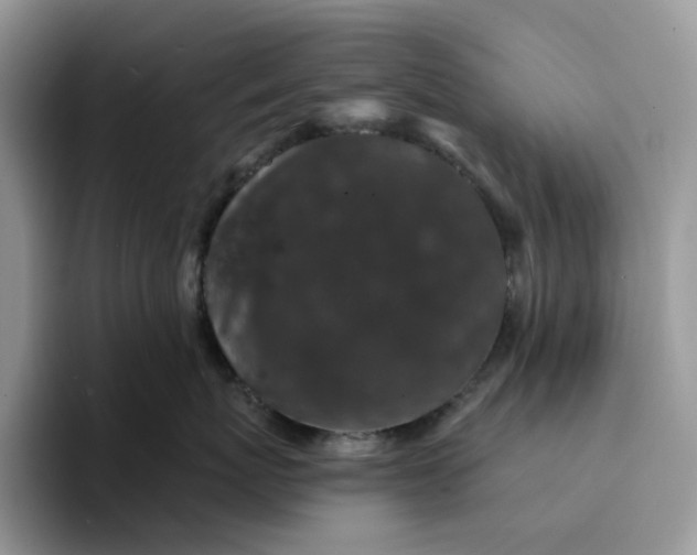 X0000094190767200711091201