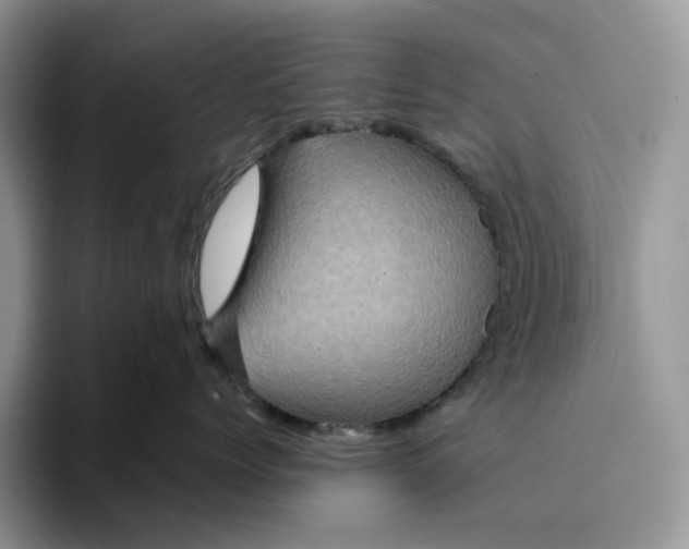 X0000094190768200711091201