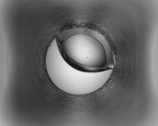 X0000094190769200711091200