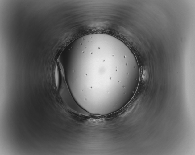 X0000094190771200711091200