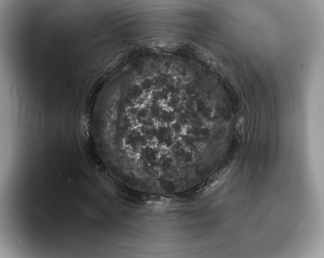 X0000094190772200711091200