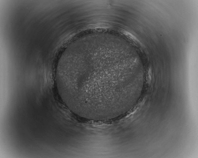 X0000094190774200711091200