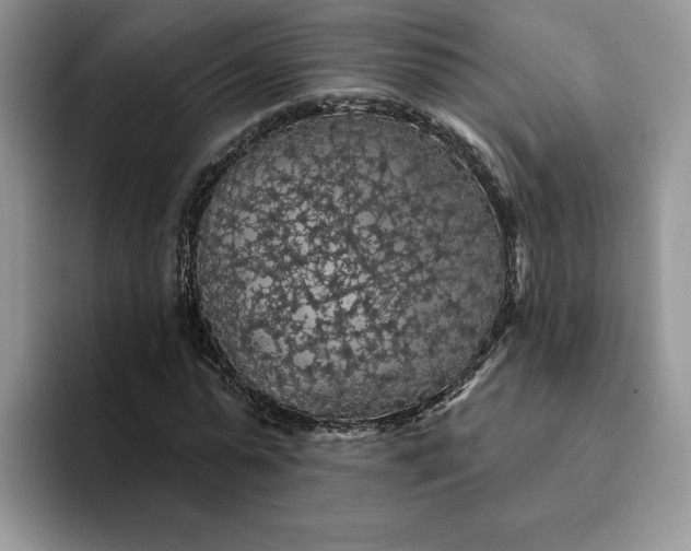 X0000094190775200711091200