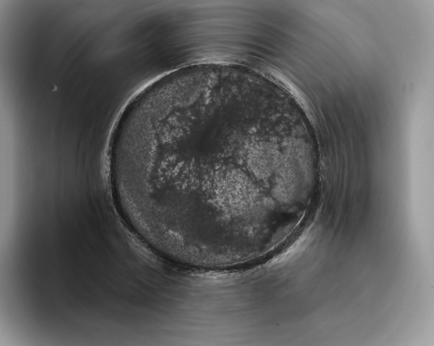 X0000094190779200711091200