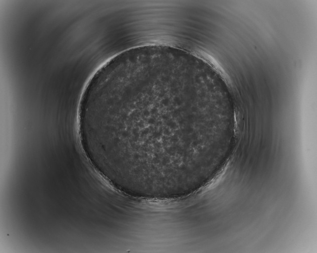 X0000094190780200711091200