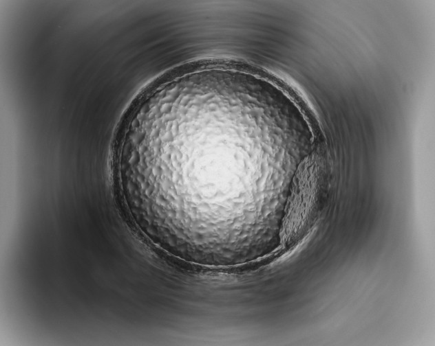 X0000094190783200711091200