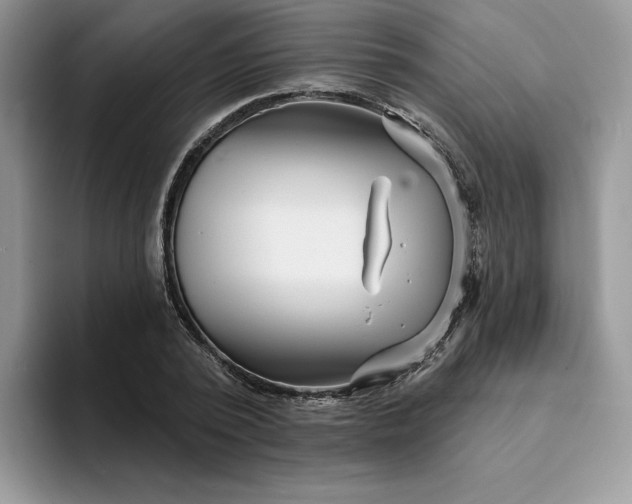 X0000094190784200711091200