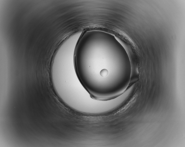 X0000094190785200711091200