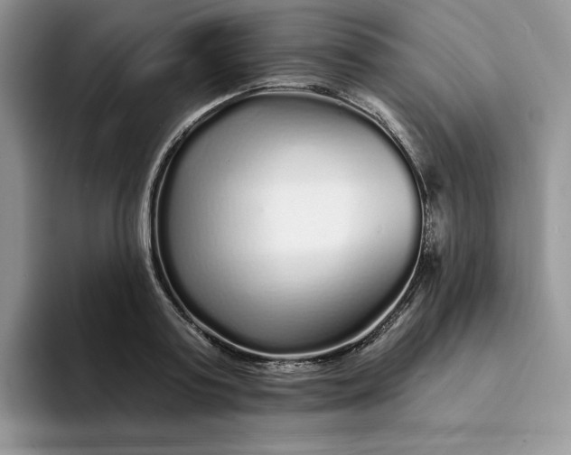 X0000094190795200711091200