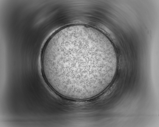 X0000094190796200711091200