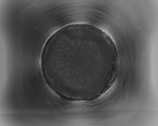 X0000094190797200711091200