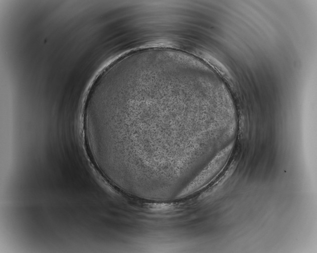 X0000094190800200711091200