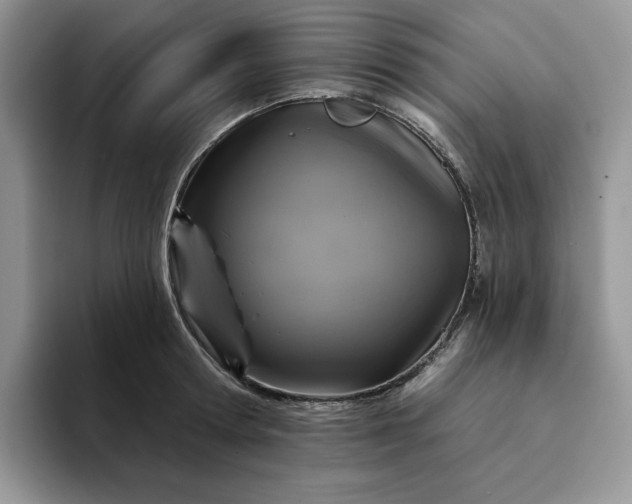 X0000094190802200711091200