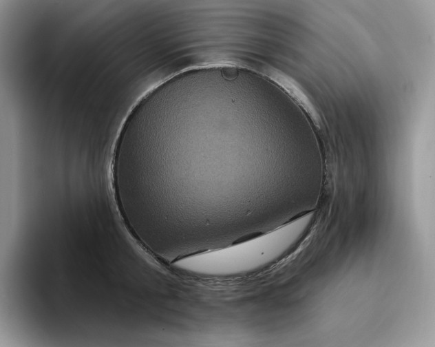 X0000094190805200711091200