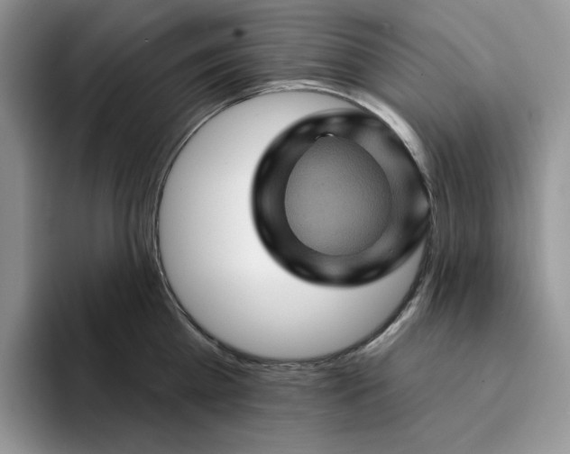 X0000094190809200711091200