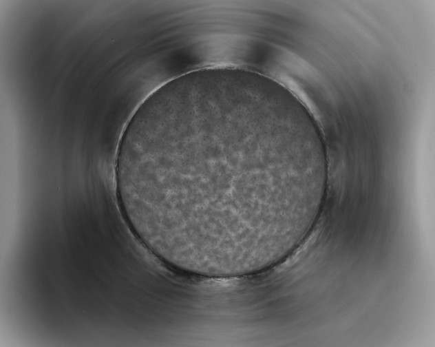 X0000094190810200711091200