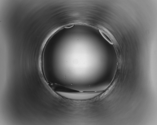 X0000094190812200711091200