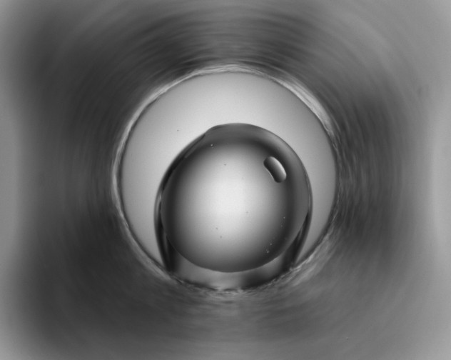 X0000094190813200711091200