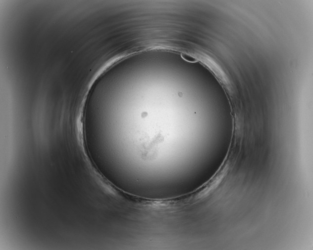 X0000094190814200711091200