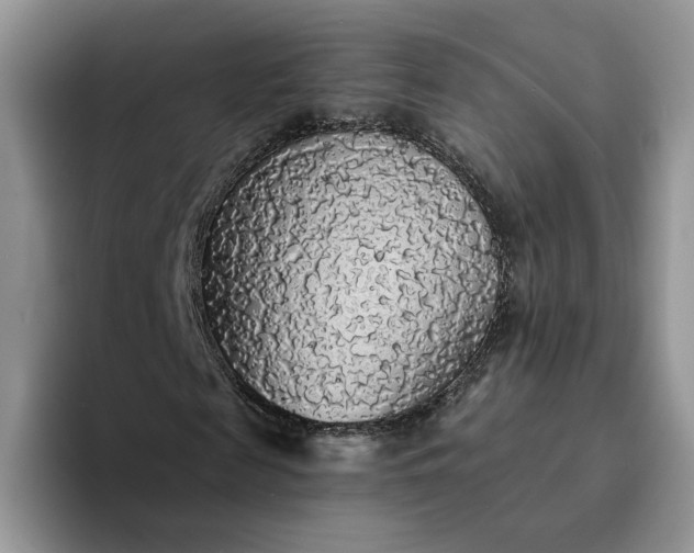 X0000094190817200711091159