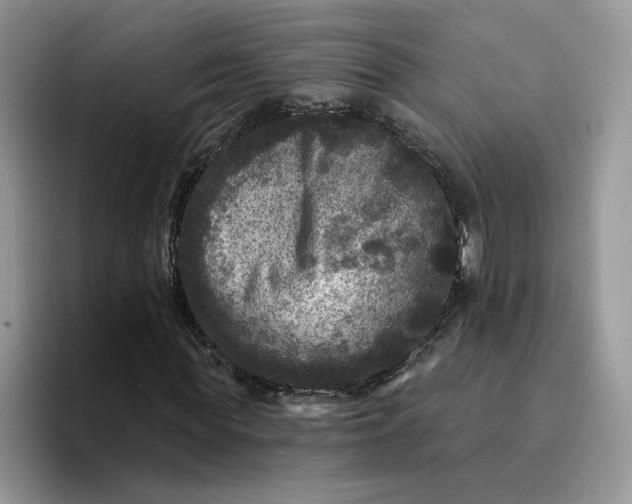 X0000094190819200711091159