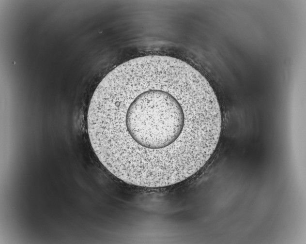 X0000094190820200711091159