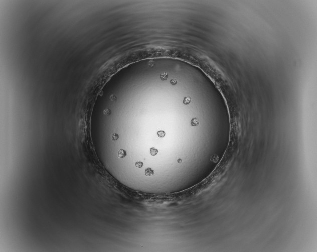 X0000094190821200711091159