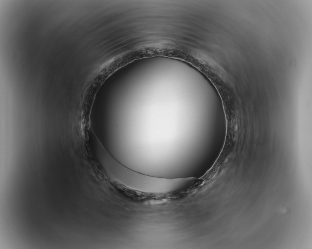 X0000094190822200711091159