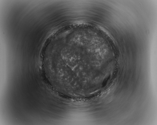 X0000094190823200711091159