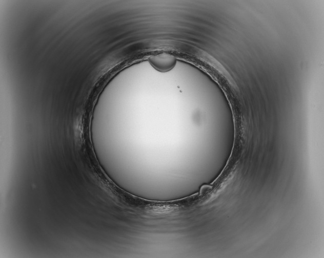 X0000094190826200711091159