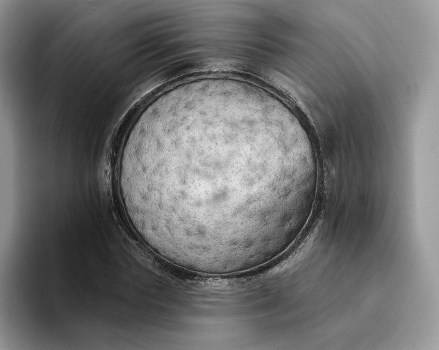 X0000094190827200711091159