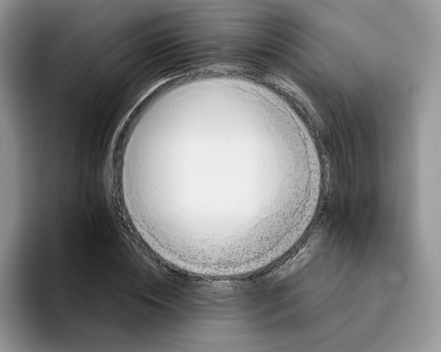 X0000094190828200711091159