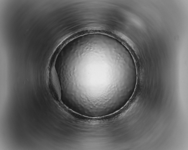 X0000094190829200711091159