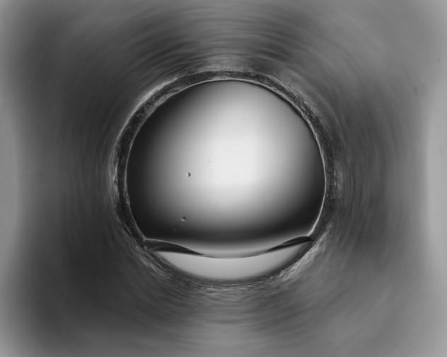 X0000094190830200711091159