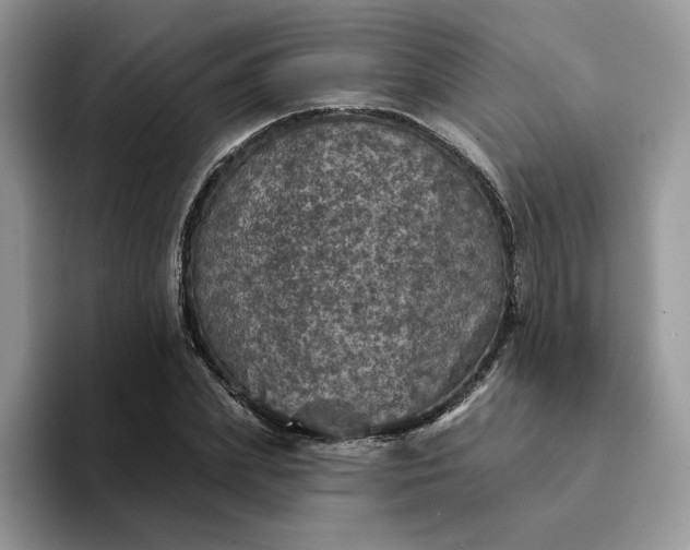 X0000094190831200711091159