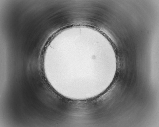 X0000094190832200711091159