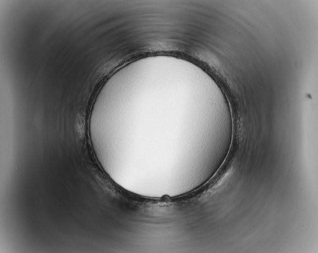 X0000094190833200711091159