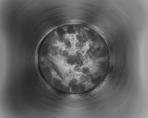 X0000094190835200711091159