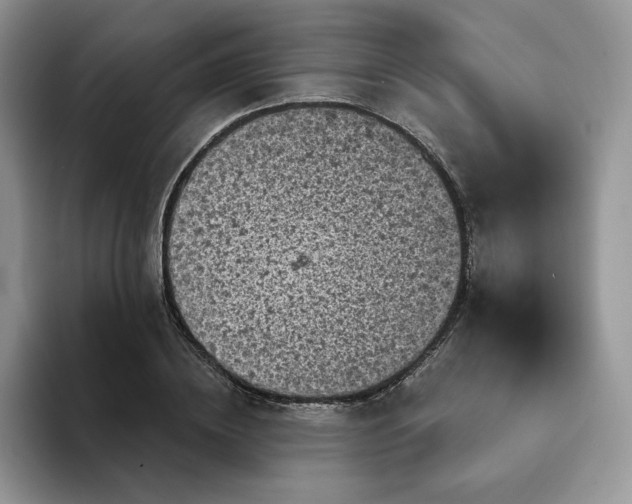 X0000094190836200711091159