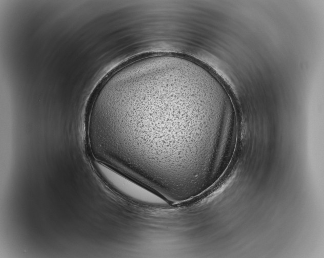 X0000094190837200711091159