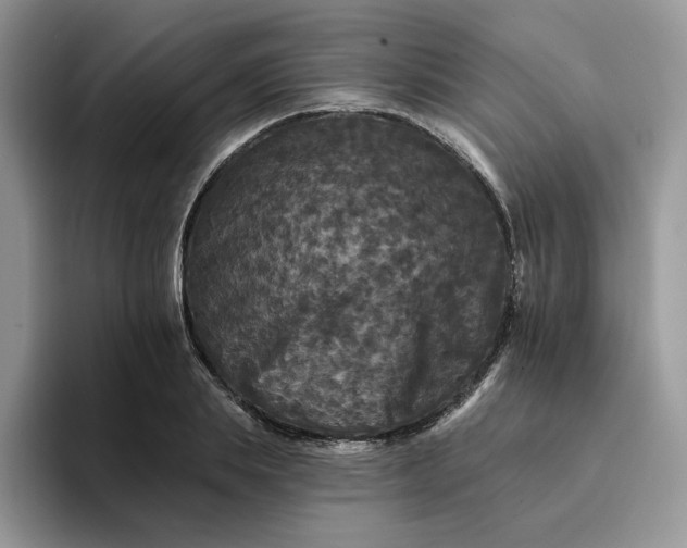 X0000094190839200711091159