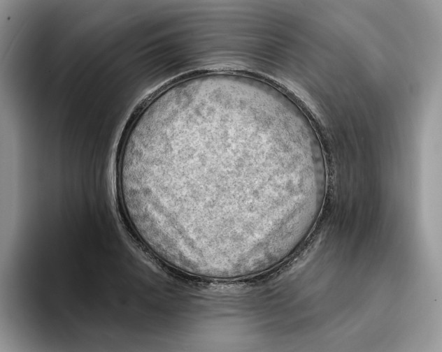 X0000094190840200711091159