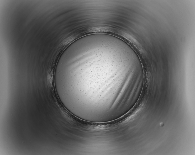 X0000094190841200711091159