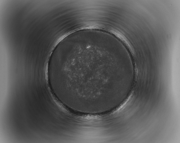 X0000094190842200711091159