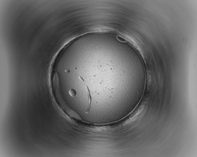 X0000094190843200711091159