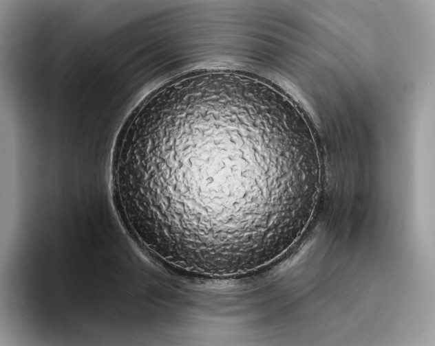 X0000094190845200711091159