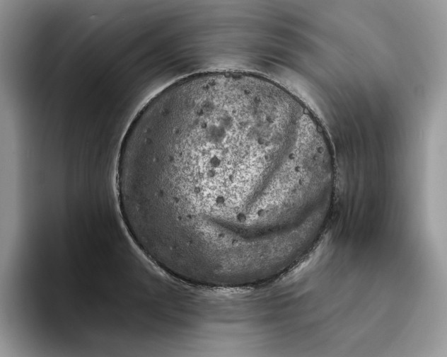 X0000094190847200711091159